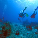 Curso Open Water Diver