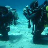 Curso de Dive Master Curso de Dive Master