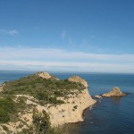 cap marti