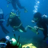 Sacate el Padi en Javea con nosotros Sacate el Padi en Javea con nosotros