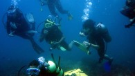 Sacate el Padi en Javea con nosotros Sacate el Padi en Javea con nosotros